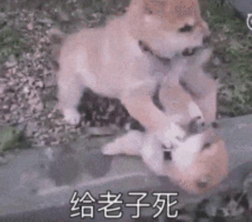 斯诺克冠军,争霸赛首回,合交锋,90vs足球比分网,体育官网,平台入口,足球比分,即时比分,比分直播